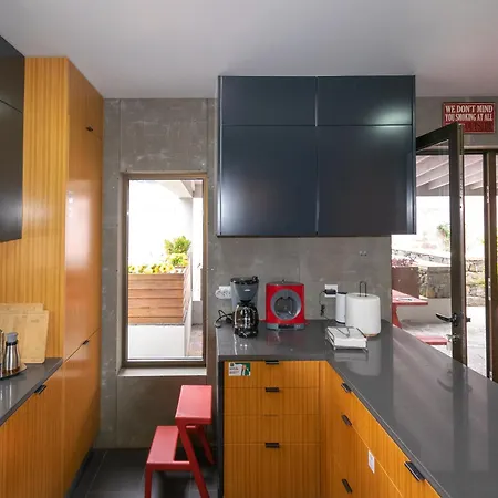 Atlantic Sao Paulo - Nature In The *