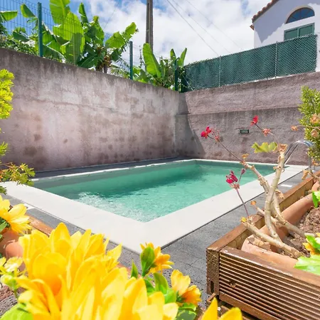 فيلة Atlantic Sao Paulo - Nature In The Ponta Delgada