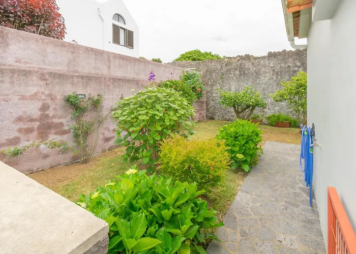 Atlantic Sao Paulo - Nature In The Ponta Delgada