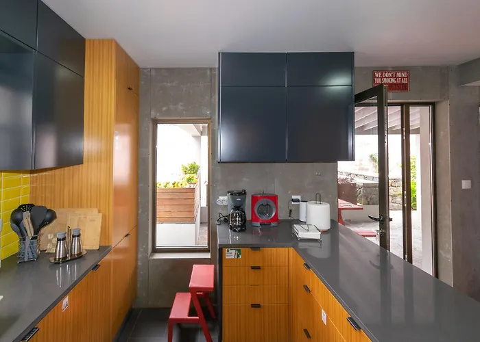 Atlantic Sao Paulo - Nature In The *