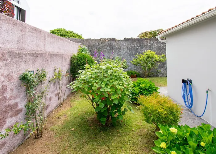 Villa Atlantic Sao Paulo - Nature In The Ponta Delgada