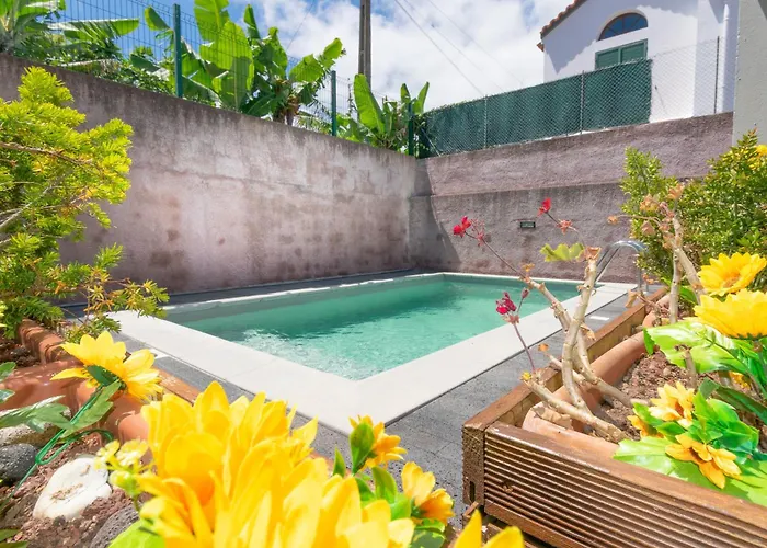 Villa Atlantic Sao Paulo - Nature In The Ponta Delgada