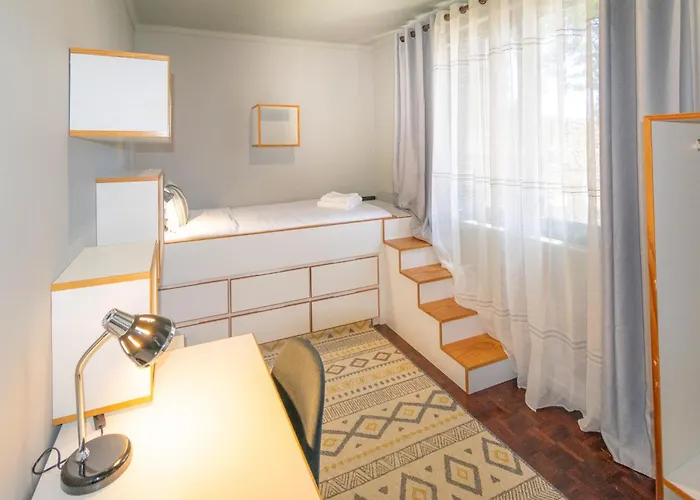 Atlantic Sao Paulo - Nature In The *