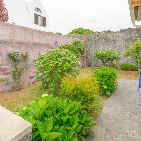 Atlantic Sao Paulo - Nature In The ポンタ・デルガダ