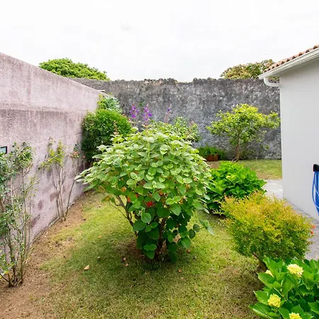 别墅 Atlantic Sao Paulo - Nature In The 蓬塔德尔加达